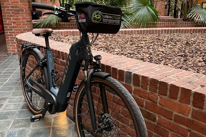 Comfort Electric Assist Bicycle Rental Review - Accessibility and Health Considerations
