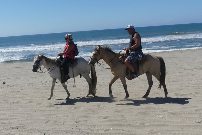 Countryside Boat Ride Beach-Horseback Ride Turtle Release - Crocs - Pricing Details