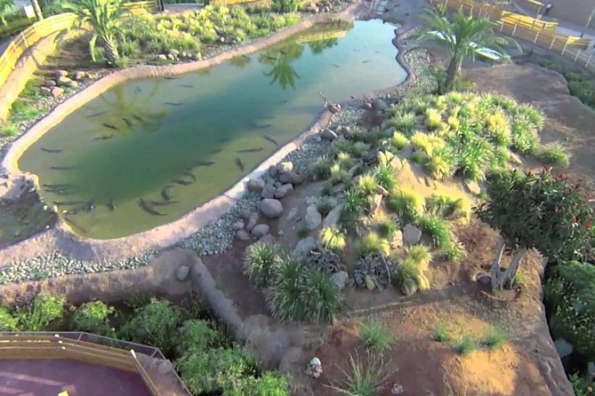 Crocodiles Park and Botanic Garden Review - Dining Options