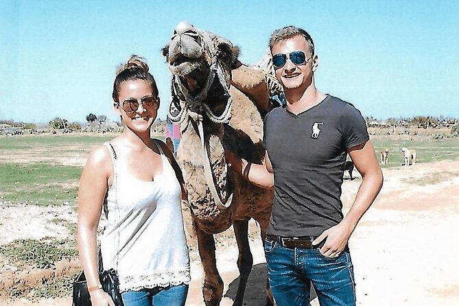 Cultural Experience of Bedouin Village in Mahdia - Traveler Reviews Summary