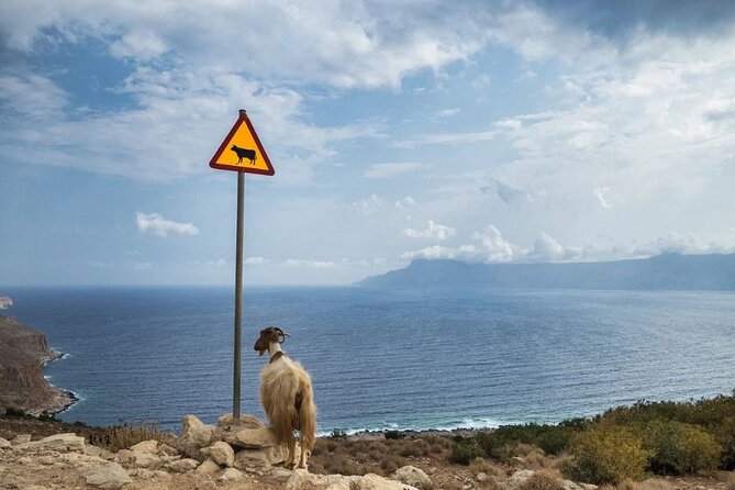Custom Jeep Tours: a Consummately Curated Odyssey From Chania - Seamless Meeting Arrangements