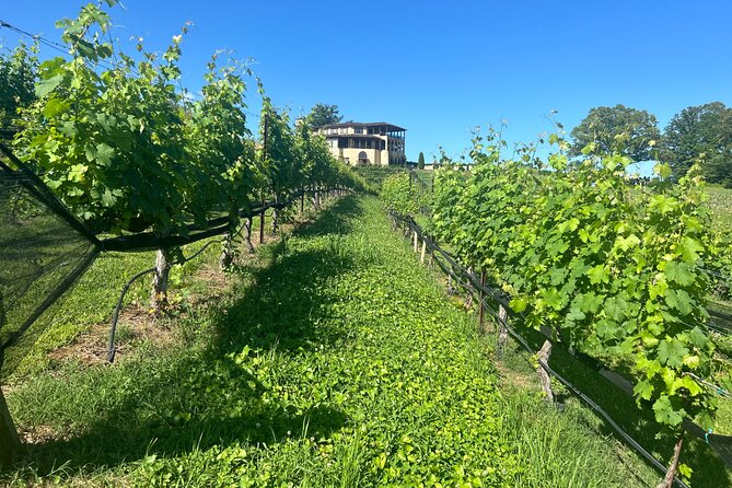 Dahlonega Wine & Dine Private Tour From Atlanta - Culinary Delights: Lunch and Dinner