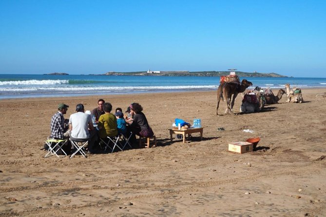 Day Camel Ride With Picnic on Essaouiras Beach - Participant Requirements
