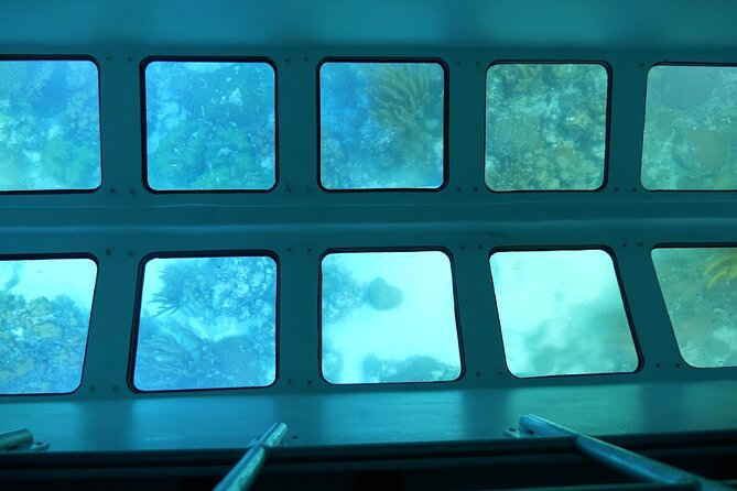 Day Tour Glass Bottom Boat In Islamorada - Positive Customer Experiences