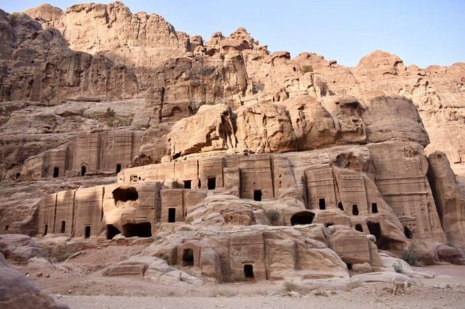 Day Tour To Petra From Amman - Accessibility Features