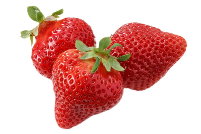 Day Trip Bus Tour to Fruits Pick & Dazaifu, Itoshima From Fukuoka - Meeting and Pickup