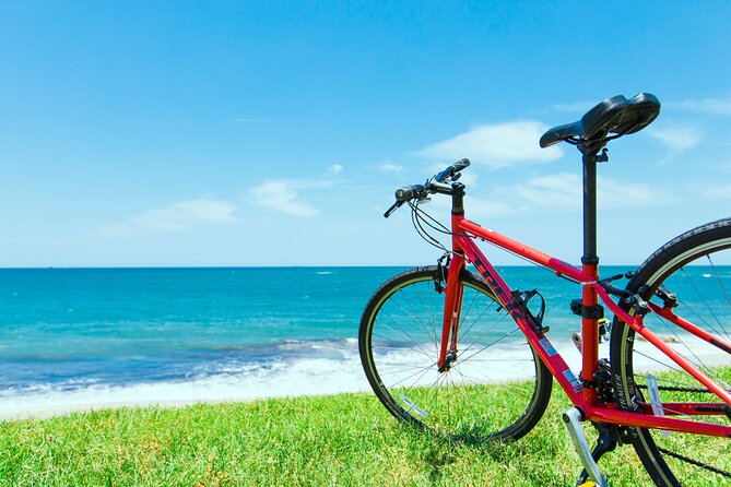 Day Trip From Central Fukuoka.Rental Cycle in Shikanoshima Island - Participation Guidelines