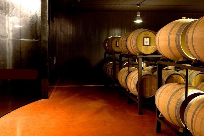 Day Trip: Olive Oil And Wine Museum With Lunch + Horse Riding - Daily Schedule