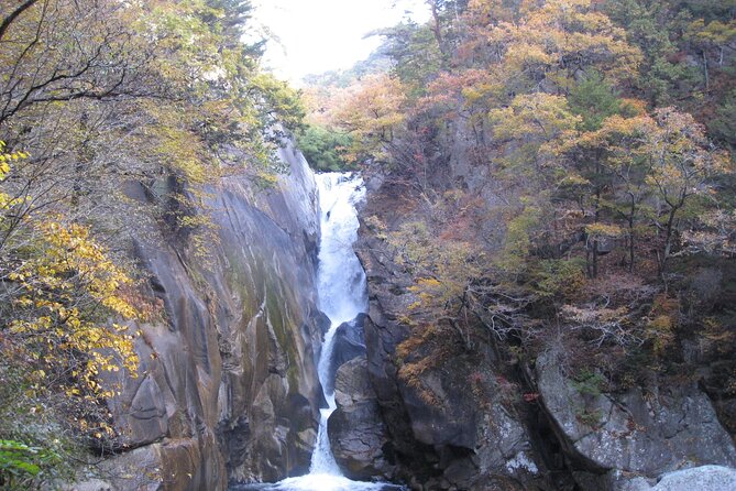 Day Trip Shosen Valley From Tokyo - Dietary and Accessibility Considerations