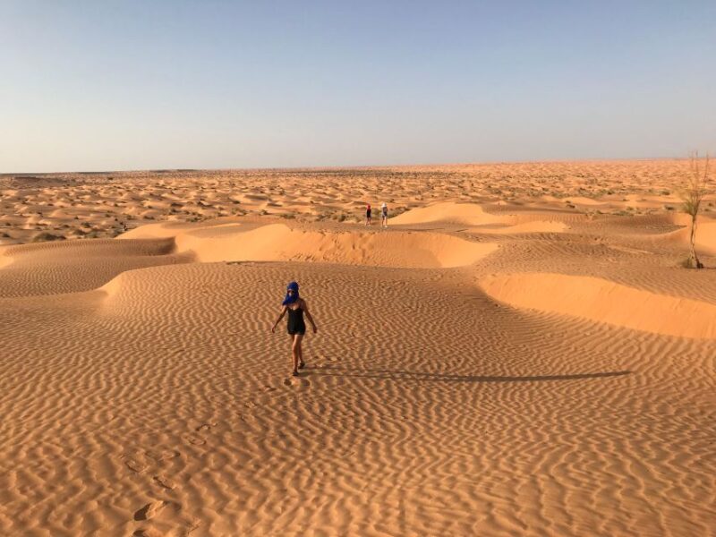 Day Trip to Desert to Ksar Ghilane From Djerba or Zarzis - Highlights and Experience