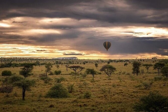 Day Trip To Tarangire National Park - Inclusions and Exclusions