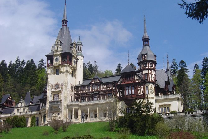 Daytour to Bran "Dracula'S" Castle + Peles Castle + Wine Tasting at Azuga Cellar - Wine Tasting at Azuga Cellar