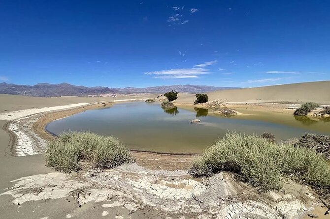 Death Valley on Mojave Desert VIP Small Group Tour From Las Vegas - Accessibility and Health Considerations