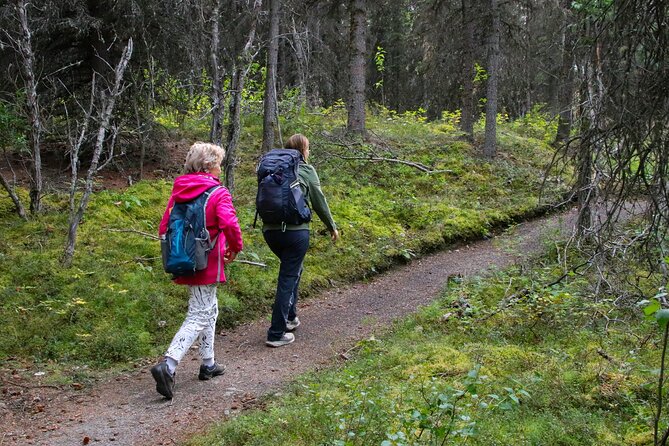 Denali Nature Hike - Gear and Packing Essentials