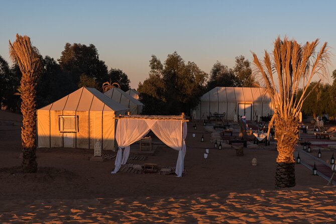 Desert Experience Mhamid 3 Days and 2 Nights From Marrakech - Customer Reviews and Ratings