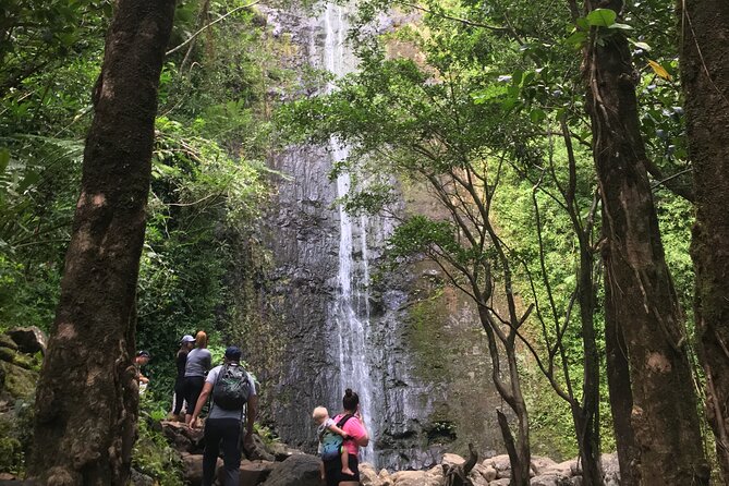 Diamond Head and Manoa Falls Self Guided Hiking Combination Tour - Pickup Locations