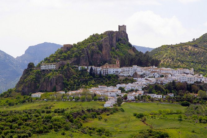 Discover Beautiful Surroundings of Andalusia on a Private Full-Day Tour - Gastronomic Delights of Andalusia