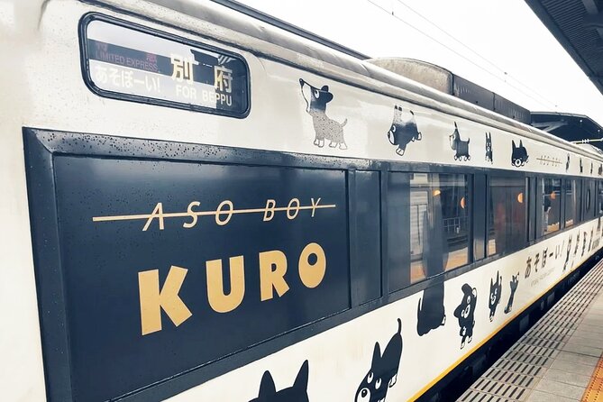 Discover Kumamoto With Aso Boy Scenic Train - Accessibility and Health Considerations