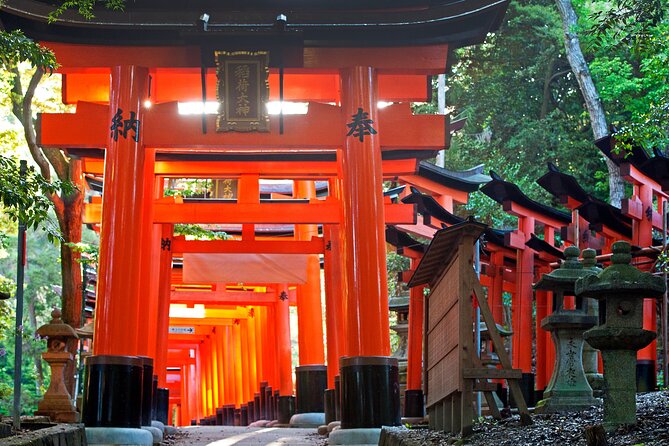 Discover Nara Park, Kyoto Highlights and Fushimi Inari From Osaka - Health and Accessibility