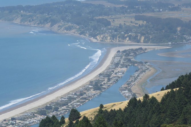 Discover Point Reyes National Seashore & Muir Woods Redwoods - Luxury and Comfort in Transit