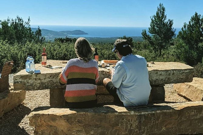 Discover Provence Including Avignon and Luberon Villages With a Local Guide - Admiring the Stunning Scenery of Gordes