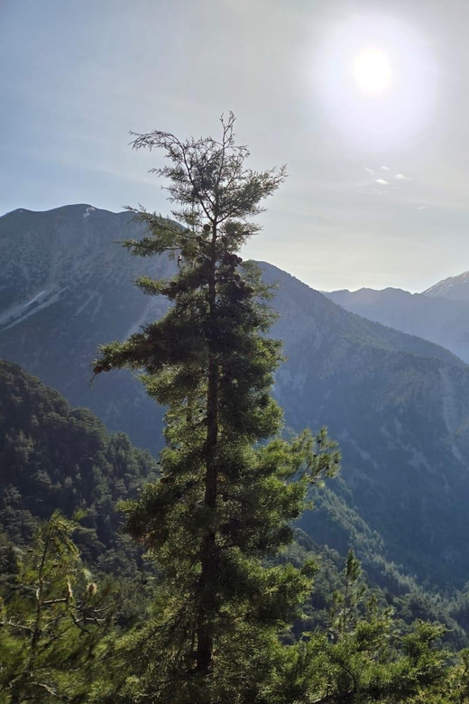 Discover Samaria, the Longest Gorge in Europe! - Hiking Through Samaria Gorge