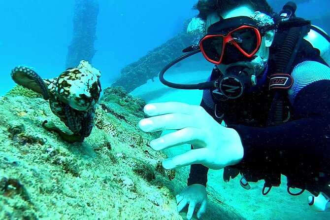 Discover Scuba Diving for Beginners in San Juan - Meeting Point and Directions