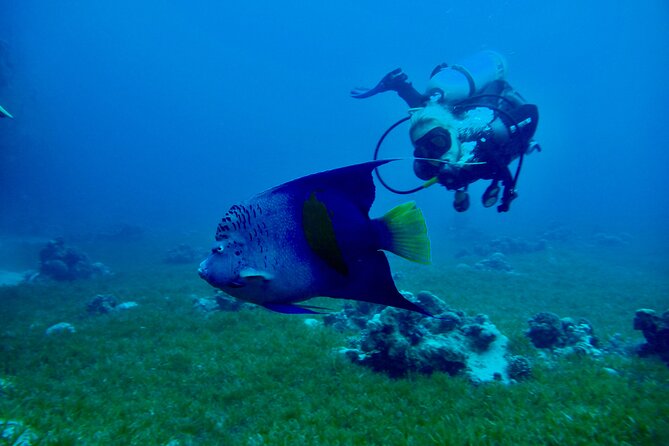 Discover Scuba Diving - Indroductory Dives - Participant Requirements