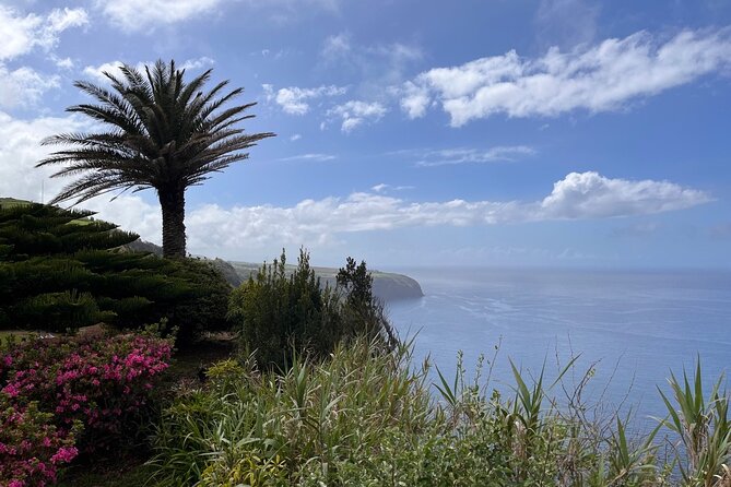 Discover the Hidden Gems of São Miguel - Full Day Private Tour - Gorreana Tea Plantation: Portugals Unique Tea Experience