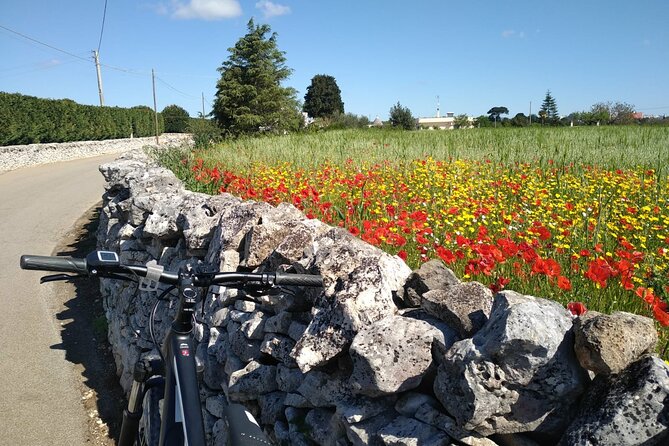 Discover Valle D Itria and Its Wines by Ebike - Cancellation and Booking Policy