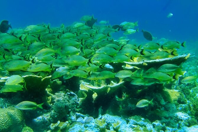 Discovering Isla Mujeres on a Double Decker Catamaran - Snorkeling Adventure Highlights