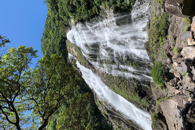 Discovery of Yakushima - Accommodations and Dining Options