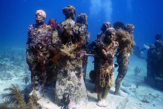 Diving in Cancun Underwater Museum of Art - Meeting Point Details
