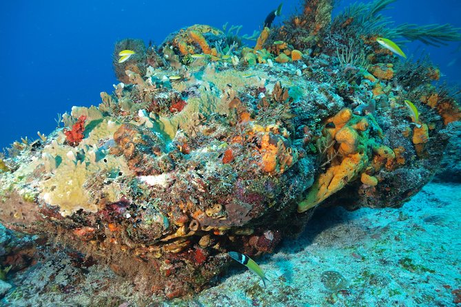 Diving Package Sea and Cenotes - Meeting and Pickup Information