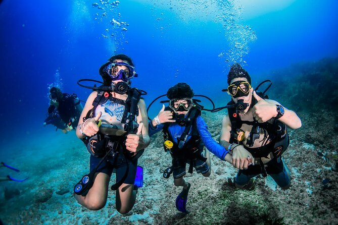 Diving Tour With Lunch - Important Safety Information