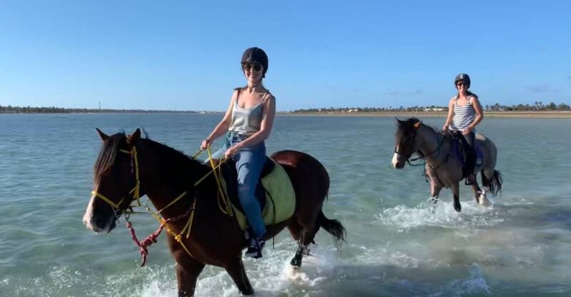 Djerba: 2-Hour Lagoon Horse Riding Experience - Activity Description