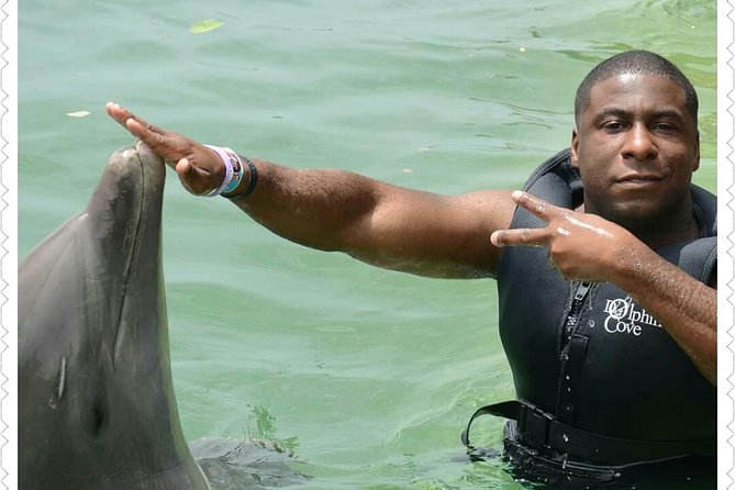 Dolphin Cove Adventure - Getting There and Getting Around