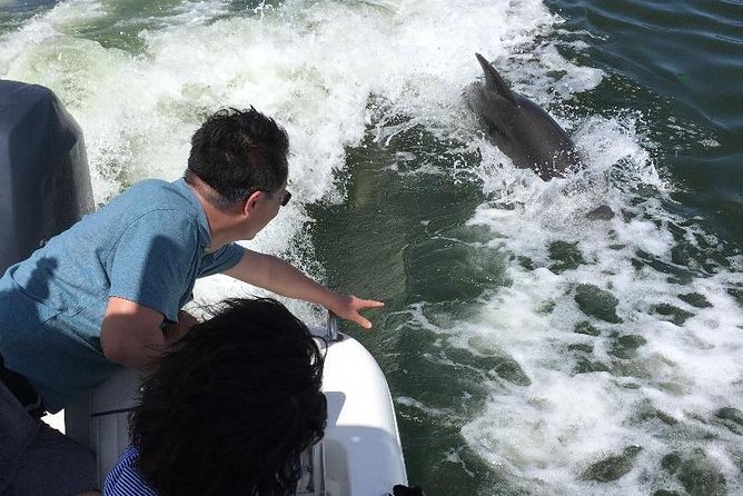 Dolphin Tours - Fort Myers Beach / Naples - Customer Reviews and Feedback
