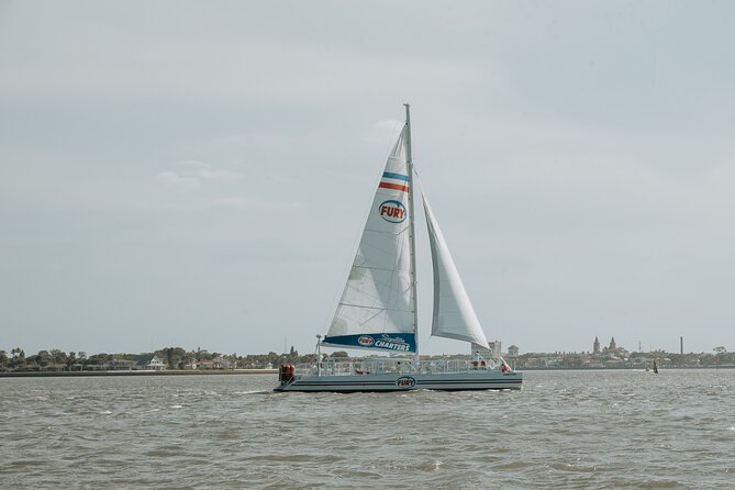 Dolphin Watch & Historical Harbor Tour in St. Augustine - Participant Guidelines