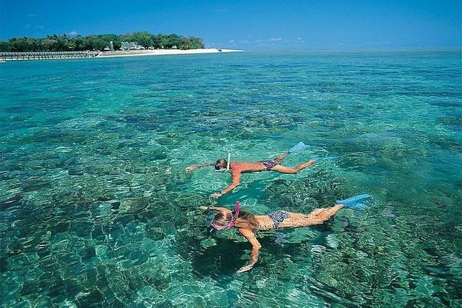 Dolphins and Snorkeling at Mnemba Island Reef - Snacks Included - Inclusions and Amenities