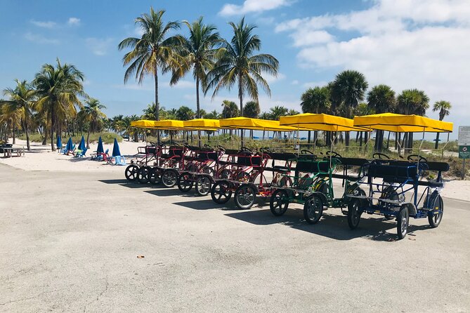 Double Quadricycle/Surrey Rental at Crandon Park - What to Expect