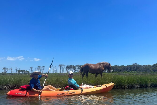 Double Sit on Top Kayak Rental Review - Meeting and End Points