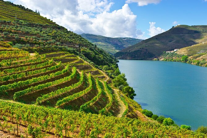 Douro Valley Delights Wine Tasting and Scenic Vistas - Navigating the Douro River Cruise