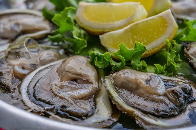 Dubrovnik: Ston Wine and Oyster Tasting - Exploring Ston Salt Works