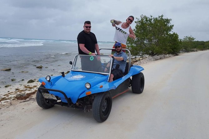 Dune Buggy Adventure, Snorkel, Mayan Town, East Coast, Tequila and City Tour - Pricing and Booking