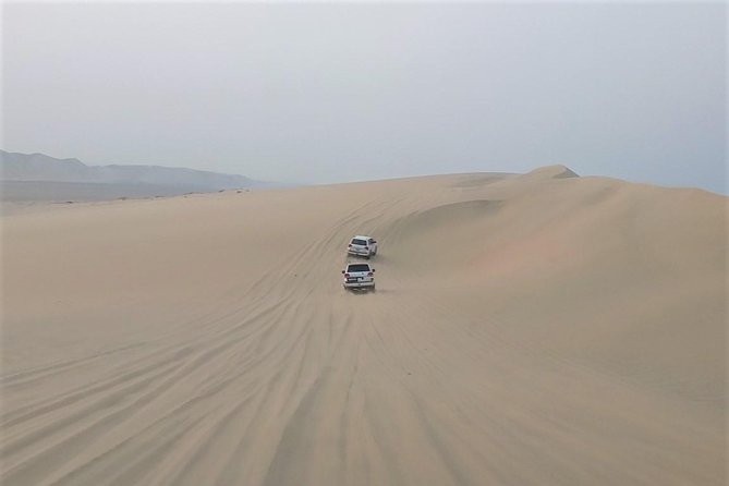 Dune Safari,Sand Boarding, Camel Ride, Sealine and Inlands Sea - Memorable Camel Ride