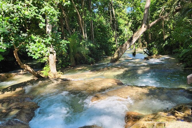 Dunn'S River Falls and Shopping From Montego Bay - Transportation and Pick-up Details