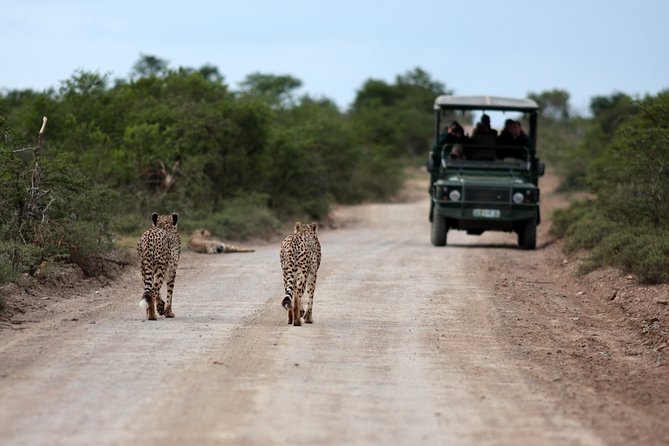 Durban: Big 5 Luxury Safari at an Award Winning Game Reserve — Zeiss Binoculars - Safari Tour Details
