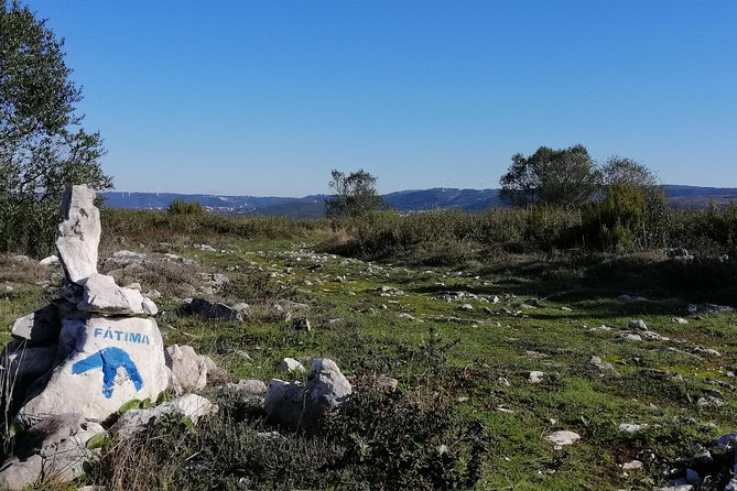 E-Bike From Nazaré to Fátima on Paths of Faith, Full-Day - Meeting and Pickup Details