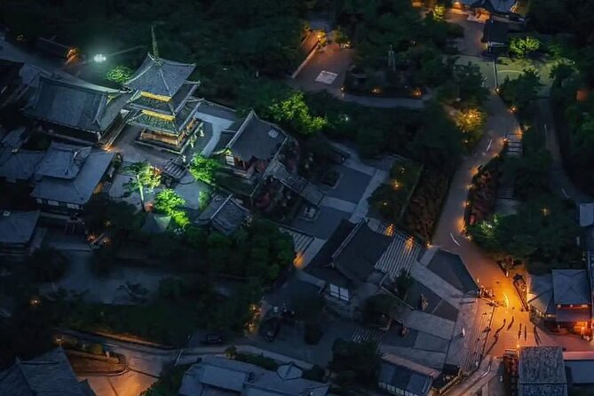 【12 Mins】City Lights Helicopter Tour : Kyoto Night View - Participation Guidelines